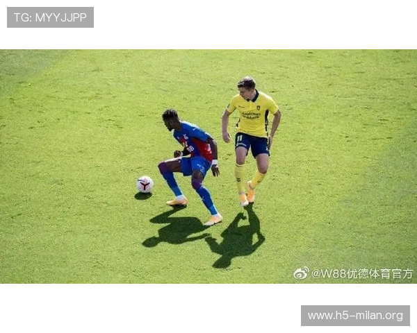 优德体育丰富的体育赛事直播与竞猜玩法详细介绍满足不同用户的多样需求